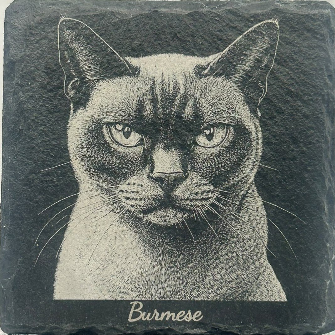 Cat portrait engraved on slate with Burmese inscription