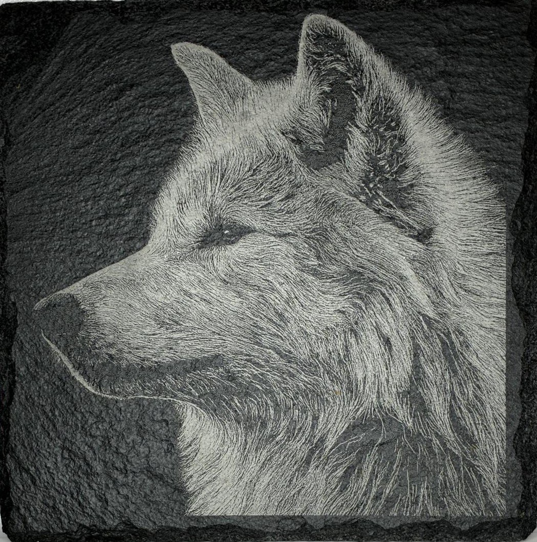 Detailed side profile of a wolf engraved on slate